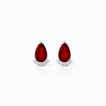 White Gold Refined Elegance Earrings