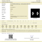White Gold Diamond Earrings