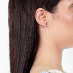 White Gold Luxurious Sparkle Earrings