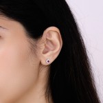 White Gold Luxury Diamond Earrings