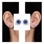 White Gold Luxurious Earrings