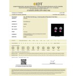 White Gold Refined Elegance Earrings